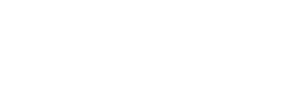 PINNACLE DYNAMICS CONSULTING